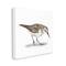 Stupell Industries Charming Sandpiper on Soft Sand Brown Nautical Bird Canvas Wall Art
